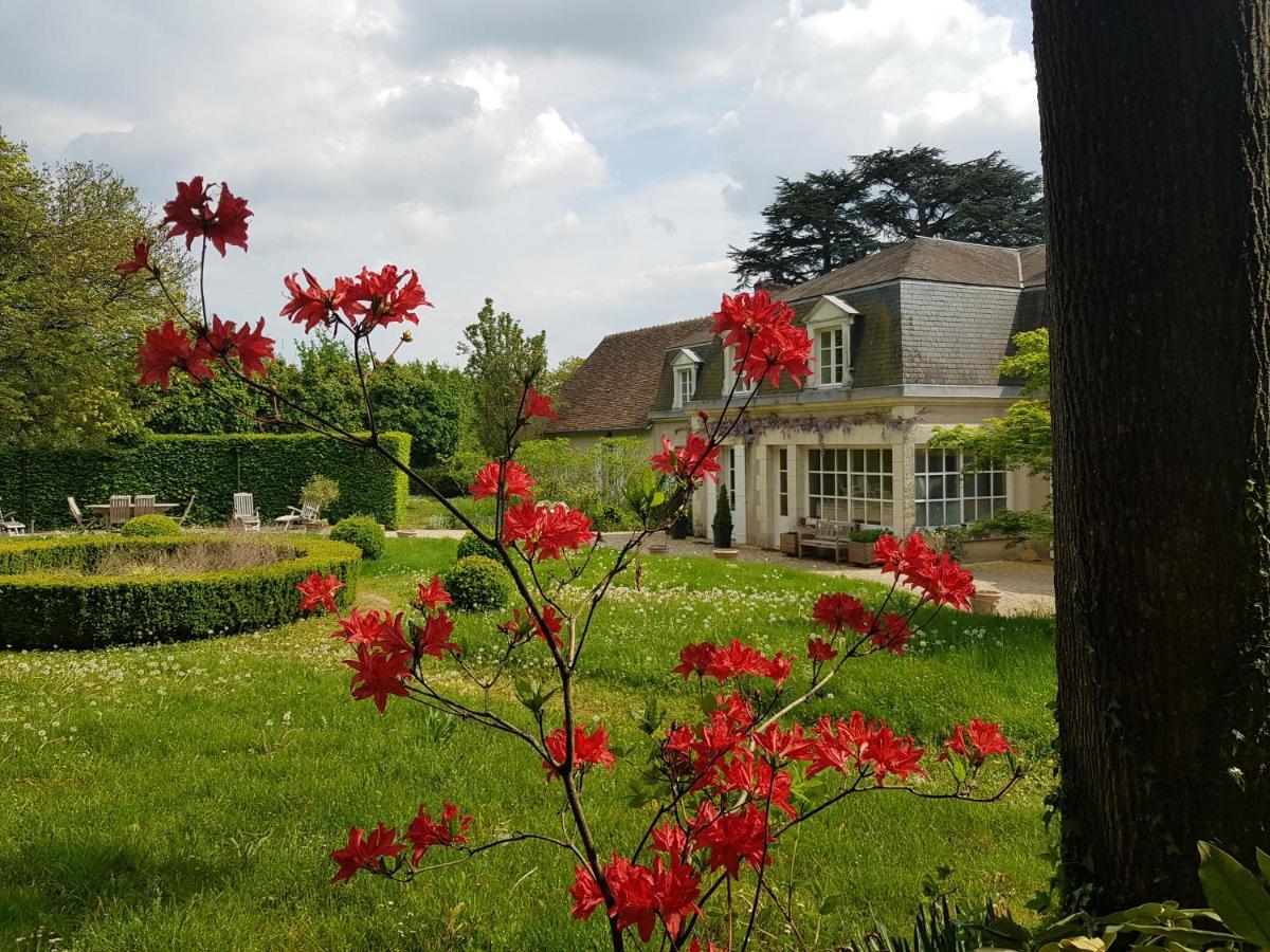 La Taille De Biou Bed and Breakfast Huisseau-sur-Cosson Exteriör bild