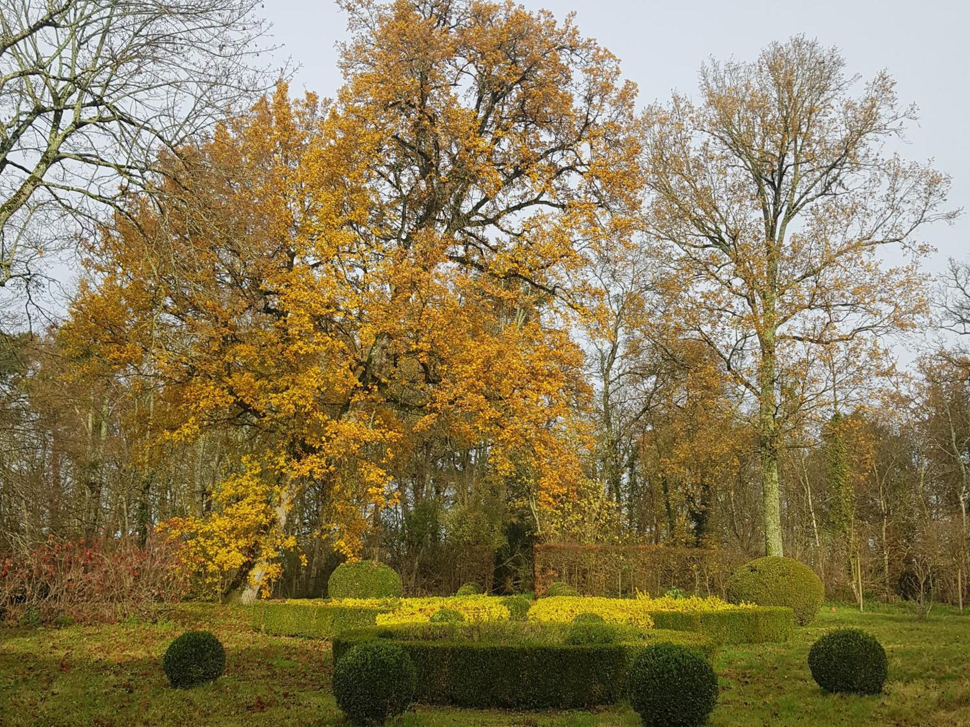 La Taille De Biou Bed and Breakfast Huisseau-sur-Cosson Exteriör bild